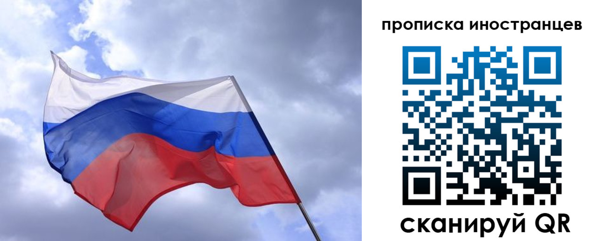 временная регистрация надежно в Светлогорске
